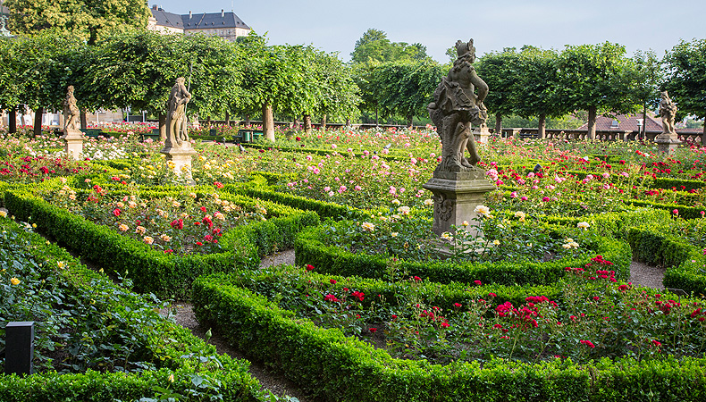 Imagen: Jardín de rosas de Bamberg